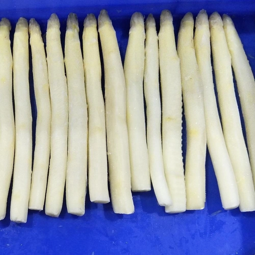 HACCP Brc Kosher Halal Seasonal China IQF Frozen White and Green Asparagus